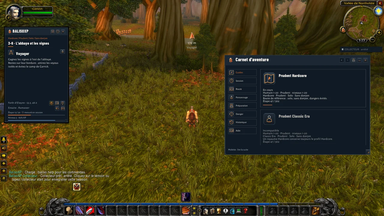 Actual WoW Classic Era screenshot in Northshire: guide on the left, arrow in the centre and journal on the right.